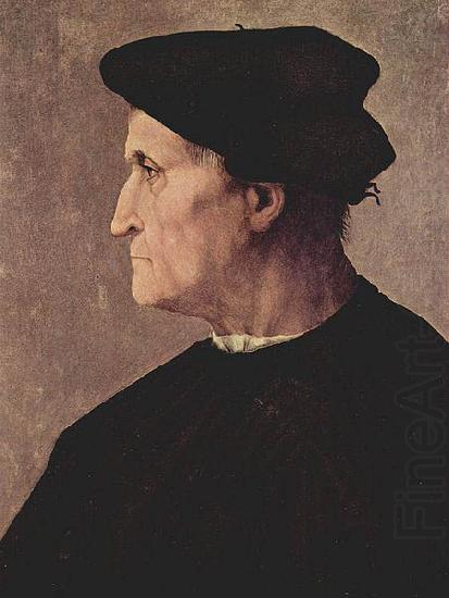 Profilportrat eines Mannes, Jacopo Pontormo